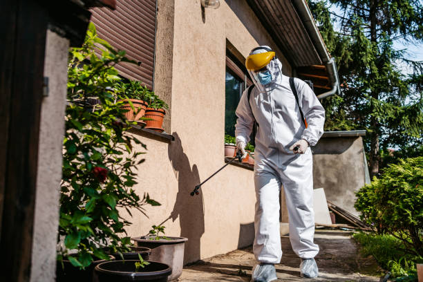 Best Pest Removal Services  in Dayton, IN