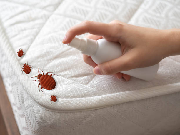 Best Pest Prevention Services  in Dayton, IN