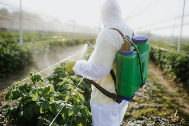 Best Flea Control Services  in Dayton, IN